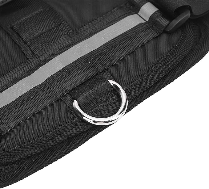 Acouto Dog Harness Dog Harness Mount Camera Nylon Chest and Back Fixation Pet Camera Mount Vest Large Medium and Small Dogs Vest Harnesses