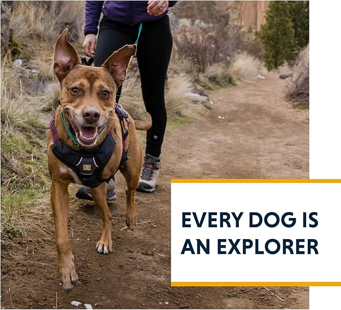 Ruffwear, Web Master, Multi-Use Support Dog Harness, Hiking and Trail Running, Service and Working, Everyday Wear, Red Canyon, XX-Small
