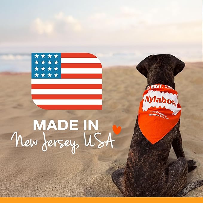 Nylabone Healthy Edibles Natural Dog Chews, Long Lasting Bones for Dogs, Turkey & Apple Dog Treats, X-Large (1 Count)