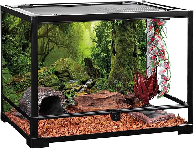AWERT Tropical Forest Terrarium Background Stream Green Huge Tree Reptile Habitat Background Foggy Rainforest Aquarium Background 36x18 inches Durable Polyester Background