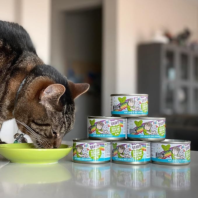 Weruva B.F.F. OMG - Best Feline Friend Oh My Gravy!, Selfie Cam! with Chicken & Lamb in Gravy Cat Food, 5.5oz Can (Pack of 8)