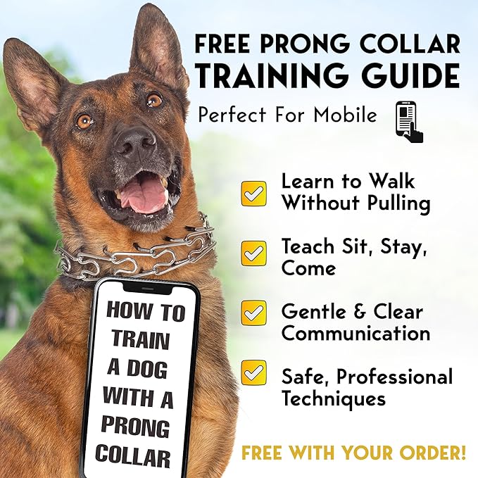 PetJett Choke Collar for Dogs Training Collar Adjustable Prong Collar for Dog Quick Release Pinch Collar for Dog for Small Medium Large Dogs No Pull Walking Tool - Stainless Steel Metal Choker Chain
