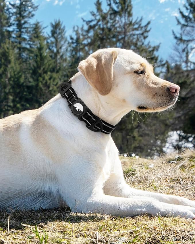 Joytale Airtag Dog Collar, Reflective Pet Collar with Waterproof AirTag Holder, Dual D-Rings, Soft Padded Adjustable for Extra Large Dogs, Black, XL