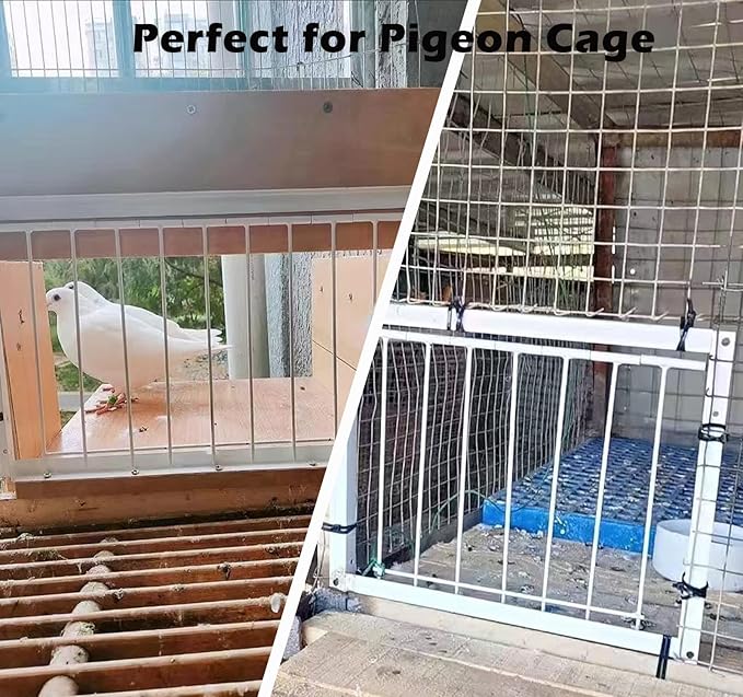 Pigeon Trap Loft Door with Steel Frame, Rust Resistant Bird Cage House Door for Racing Pigeons, Supplies (12in/ 30cm)