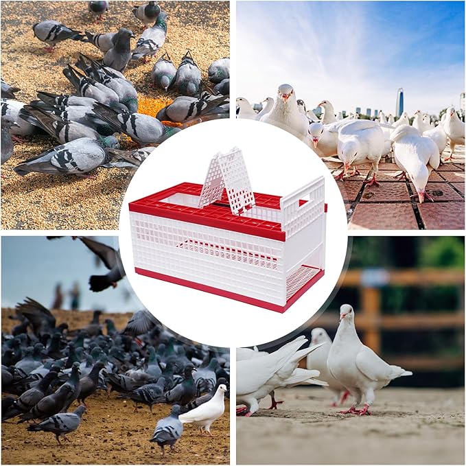Plastic Foldable Pigeon Carrier Cage, Racing Pigeon Carrier Box with Handle 23.6"X12.2"X10.2" Portable Bird Travel Carriers Cage Bird Training Basket with 2 Side Doors and 2 Top Department