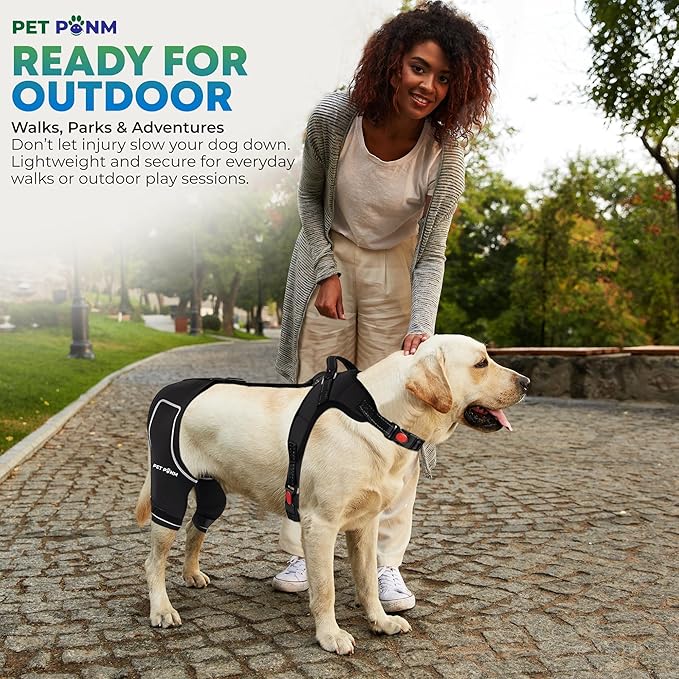 Petpanm- Adjustable Dog Knee Brace- Right Hind Leg with Integreted Harness- Premium Support for Torn ACL, Sprains & Strains Recovery, Enhances Mobility, Comfortable Neoprene- (Small)