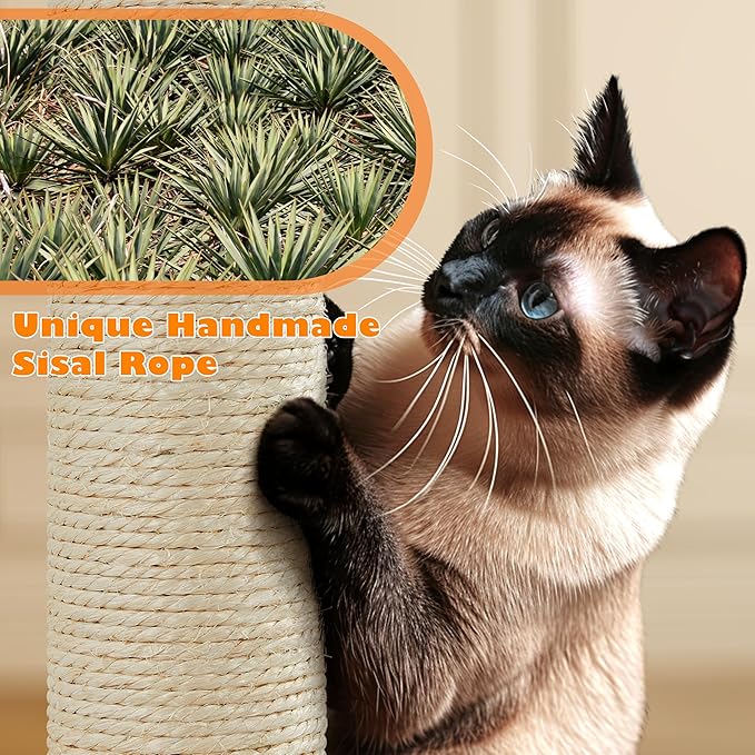 Topeakmart 62.2 inches Cat Tree with Double Condos, Scratching Posts & Hammock, Kitty Activity Tree Center Kitten Play House