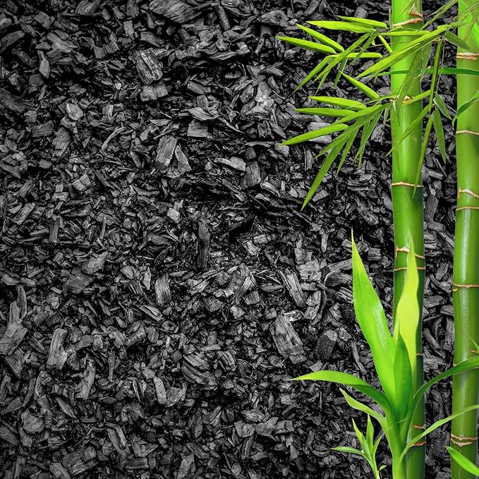 Horticultural Charcoal for Plants β Organic Bio Char Soil Amendment for Terrariums, Indoor Plants & Gardening, Made in USA (1 Quart)