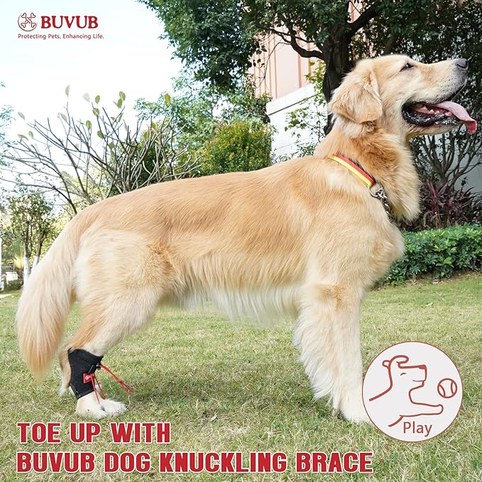 Dog Canine Knuckling Brace Front Paw Rear Leg Dog Foot Brace Wrap for Toe Dragging Cause by Sciatic Nerve Insufficiency, Myelopathy, Herniated Disc(XLarge,Pair Pack)