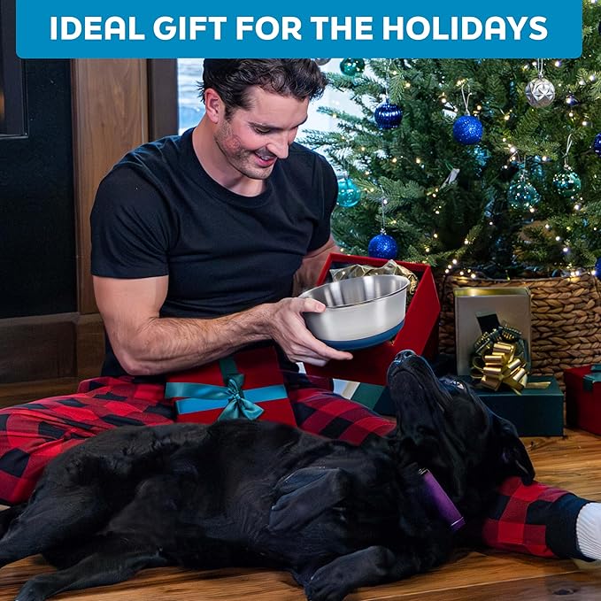 Master Pet Supply Stainless Steel Dog Bowls Set of 2 with Extra Thick Silicone Base - 16 Cup (128 oz) Aqua Sky, Non-Slip, Dishwasher Safe Metal Bowls, Pet Dog Food Bowl for Dogs, Cats, Anti Rust