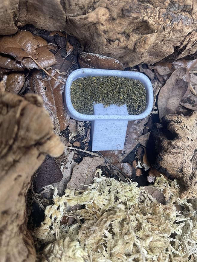 Isopod Feeding Dish 3-Pack – Small, Medium & Large Sizes | Insect Feeder Bowl Set for Isopods, Springtails, Dubia Roaches, Reptiles & Bioactive Terrariums