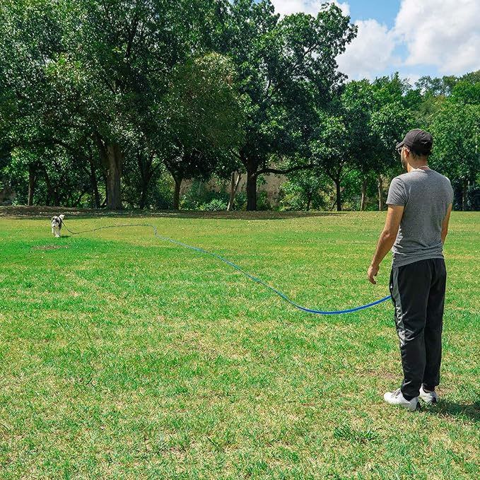 Hi Kiss Dog/Puppy Obedience Recall Training Agility Lead - 15ft 20ft 30ft 50ft 100ft Training Leash - Great for Training, Play, Camping, or Backyard Purple 100 Feet