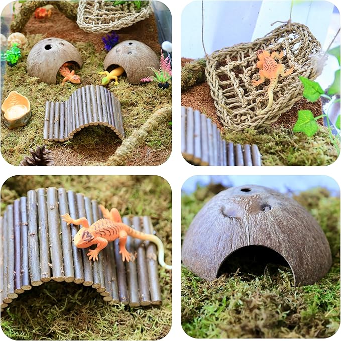 Hermit Crab Accessories β 6PCS Natural Hermit Crab Toys Climbing Bridge, Shells, Coconut Hideout, Moss and Plants for Hermit Crabs Habitat & Reptile Tank Decor