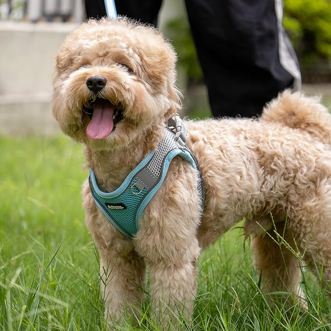 AIITLE Small Harness for Puppy with A Leash - Dog Vest Harness with Super Breathable Mesh, Reflective No-Pull Pet Harness for Outdoor Walking, Running for Small Dogs, Cats Blue XXS