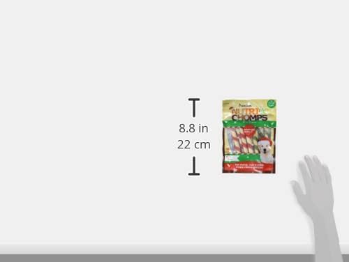 NutriChomps Dog Chews, 5 inch Twists, Mint Flavor, 10 Count, Easy to Digest, Rawhide Free, Holiday Stocking Stuffer Treats, Christmas Gift for Dogs
