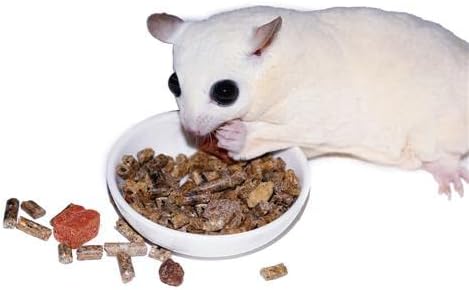 Sugar Glider Complete Food Starter Package - Nutritionally Complete Pellet Diet & High Protein Supplemental Food for Sugar Gliders… (2 Piece Set)
