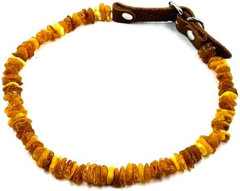 Baltic Amber Dog & Cat Collar - Adjustable Leather Strap with Raw Knotted Amber Beads (25-30cm)