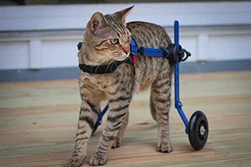 Walkin' Wheels Lightweight – for Small Cats 2 to 20 Pounds – Veterinarian Approved – Cat Wheelchair for Back Legs, for Cats 2-10 lbs, 9-12 inches Leg Height – Blue