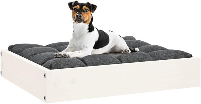 Small Dog Bed, Elevated Rectangular Pet Bed for Small Breeds, Solid Pine Wood Dog Sleeping Cot, Minimalist Indoor Pet Furniture, Durable White Wood Bed Frame