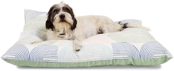 EveryYay by Petco Essentials Pillow Dog Bed 38" L X 30" W X 6" H Large Retro Green
