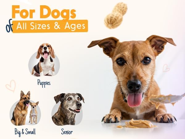 BUDDY BUDDER Barkin' Banana, 100% Natural Dog Peanut Butter, Dog Treat, Made in USA (17oz Jars)