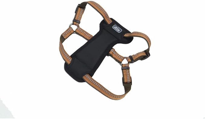 Coastal Pet K9 Explorer Reflective Adjustable Padded Dog Harness - Plush Chest Pad for Comfort - No-Pull Dog Harness for Small and Large Dogs - Campfire Orange - 5/8" x 12"-18", X-Small