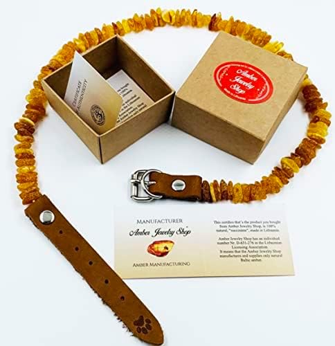 Baltic Amber Dog & Cat Collar - Adjustable Leather Strap with Raw Knotted Amber Beads (25-30cm)