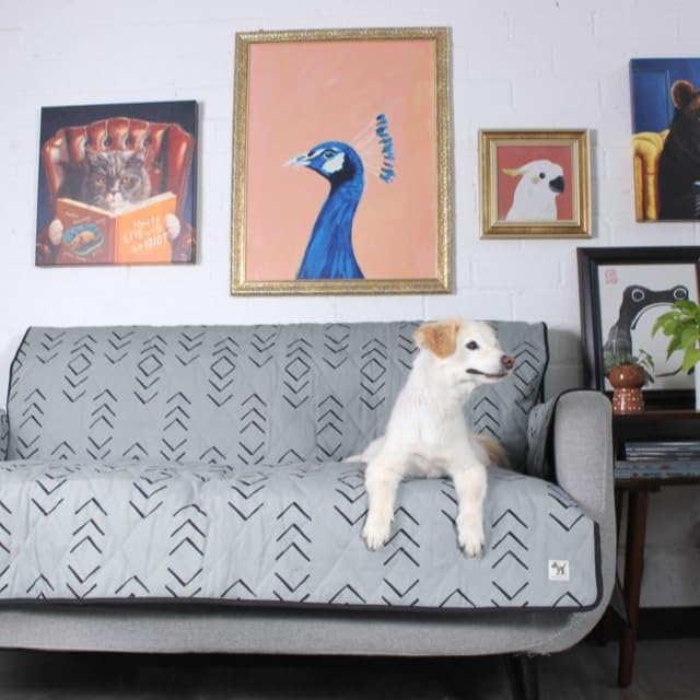 Molly Mutt 3-Seater Non-Slip Furniture Protector and Couch Cover for Dogs & Pets – Durable 100% Cotton Canvas and Non-Toxic Materials - 70” Wide x 78” Long