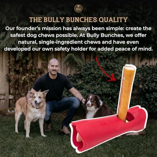 Bully Bunches Premium 6 Inch Thick Odour-Free Bully Sticks for Small & Medium Dogs - Consistently Sized, Long Lasting Chews for Oral Care - All Natural & Single Ingredient, 100% Beef Dog Treat (5 Pk)