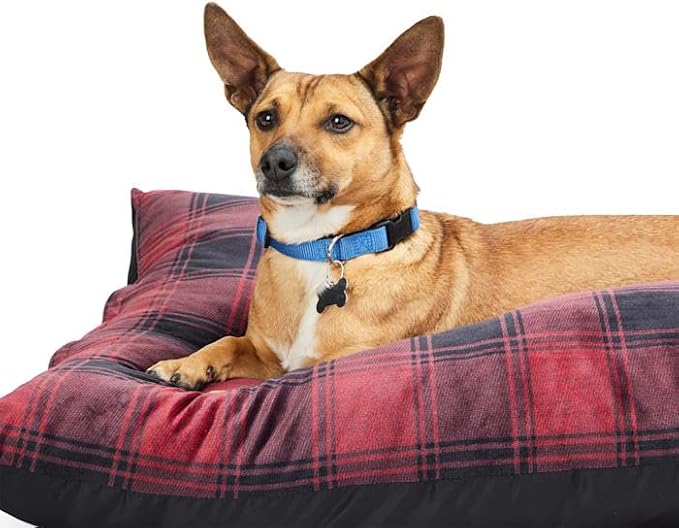 EveryYay by Petco Essentials Pillow Dog Bed 38" L X 30" W X 6" H Large Red Buffalo Check