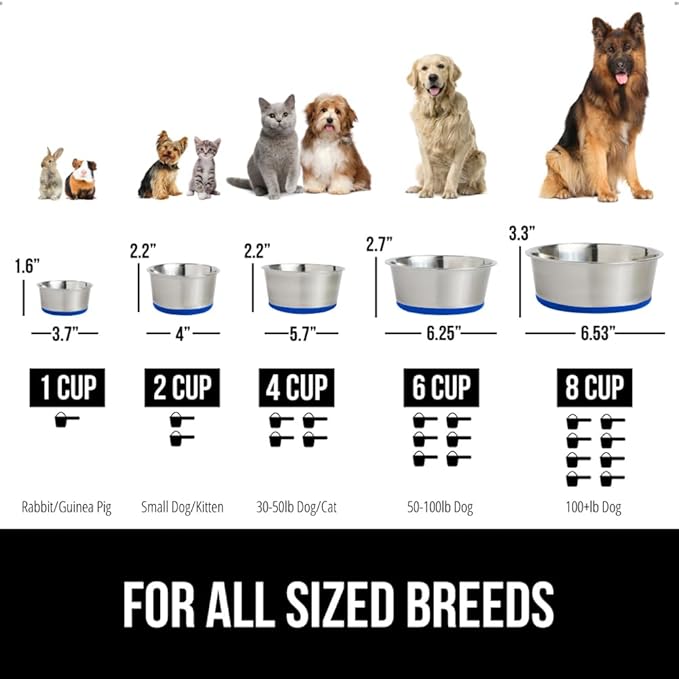 GORILLA GRIP Dog Bowls, Holds 2 Cups Each (16 fl oz), Heavy Duty Stainless Steel Food and Water Bowl for Feeding Dogs and Cats, Dishwasher Safe, Rust Resistant, BPA Free Rubber Base, Set of 2 Blue
