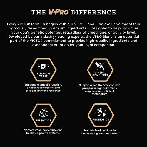 VICTOR Super Premium Dog Food – Select Ocean Fish Formula with Salmon – Omega-3 and Omega-6 Enriched Gluten-Free Dry Kibble for All Normally Active Dogs of All Life Stages, 15lbs