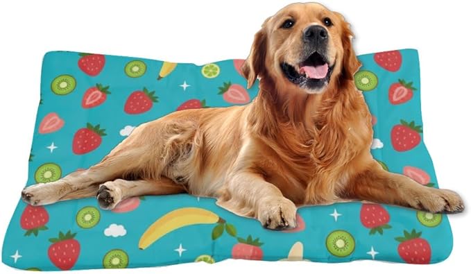 Mixed Fruit Turquoise Blue Dog Beds and Furniture Dog Crate Bed Mattress Kennel Pad Bed for Crate Washable Non-Slip Cushion for Cages Fuzzy Mats Dogs Furniture Indoor Outdoor 24X18 Inch