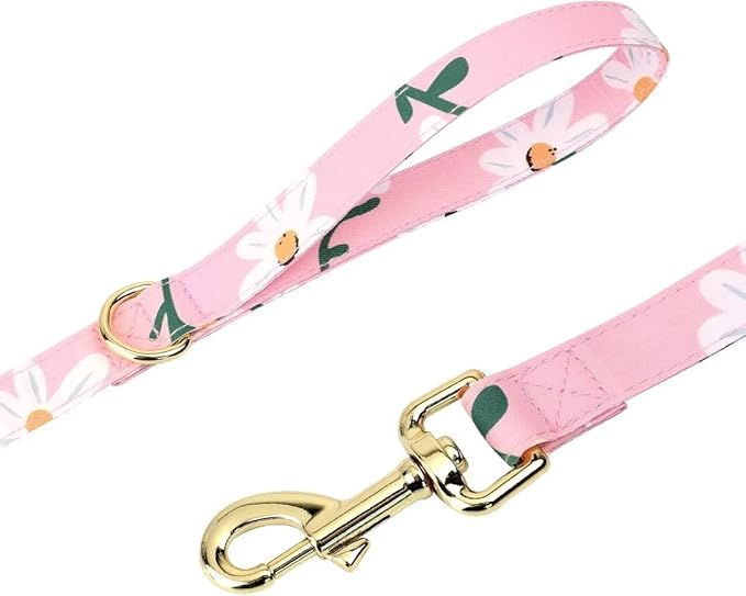 Beirui Cute Girl Dog Collars, Harnesses & Leashes Set - Adjustable Dog Collar and Leash Set with Flower - Soft Mesh Dog Vest Harness for Puppies Small Medium Dogs (Pink-1,S)
