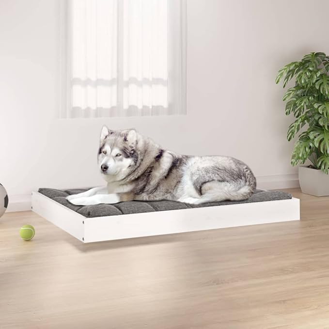 Elevated Solid Pine Wood Dog Bed for Medium Breeds, 40.0 x 29.1 x 3.5 Inches, White Minimalist Pet Furniture with Orthopedic Support and Easy-Clean Finish