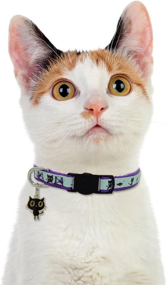 2 Pack Glow in The Dark Cat Collar with Bell Breakaway Safety Cat Puppy Collars with Pendant Purple and Black