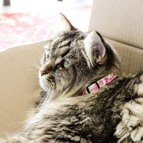Rogz Glowcat Cat Collar with Safety Buckle Kitten/x-Small - Blue