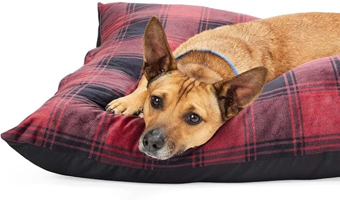 EveryYay by Petco Essentials Pillow Dog Bed 38" L X 30" W X 6" H Large Red Buffalo Check