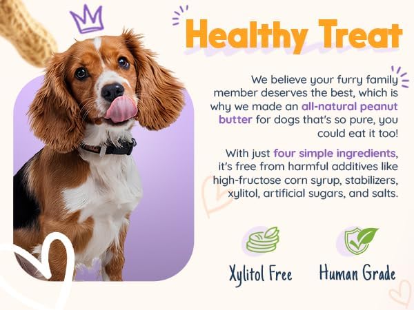 Pumpkin Pup + Ruff Ruff Raw + Barkin Banana Buddy BUDDER, 100% Natural Dog Peanut Butter, Healthy Dog Treats - Made in USA (Set of 3)