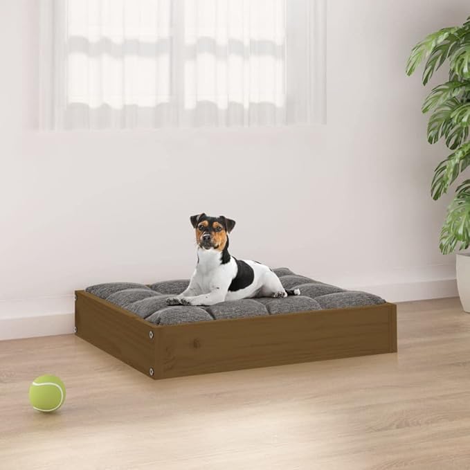 Solid Pine Wood Dog Bed in Warm Honey Brown Finish 20.3 x 17.3 x 3.5 Inches, Durable Indoor Pet Bed for Small Breeds, Cozy Resting Space with Minimalist Design and Varnished