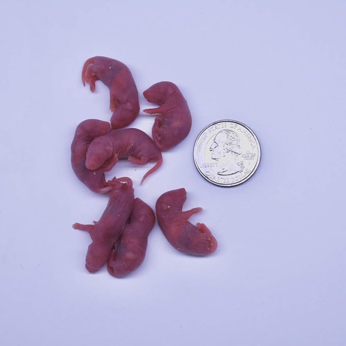 MiceDirect Frozen Mice Combo Pack of 75 Small Pinkies & 75 Pinkies Feeder Mice - Food for Corn Snakes, Ball Pythons, Lizards - 40 Ounce (Pack of 150)