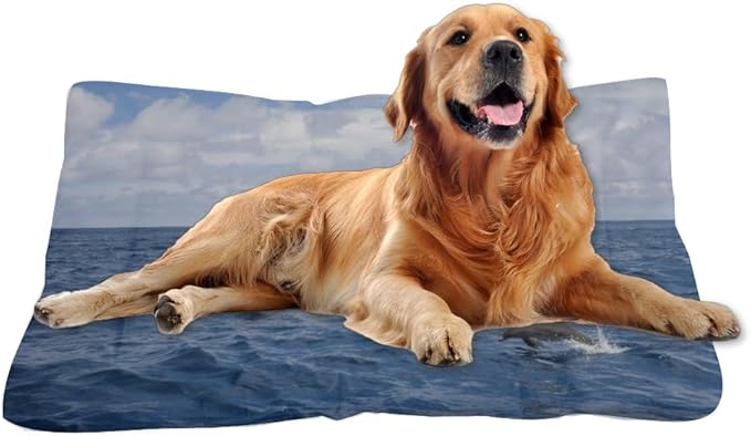 Dolphins Tall Ship Ocean Scene Dog Bed Travel Bed Mats for Dogs Pads for Dog Crates Medium Crate Washable Non-Slip Crate Small Portable Floor Mat Medium Sized Indoor Outdoor 24X18 Inch