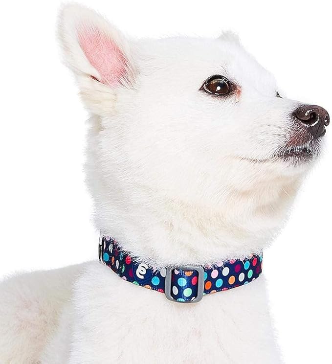 Blueberry Pet Essentials Rainbow Polka Dots Adjustable Dog Collar, Small, Neck 12"-16"