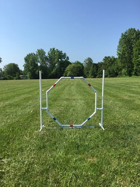 Dog Agility Training Equipment Course Set, Weave Poles, Dog Agility Jump with Dog Agility Jump Cups and Tire Jump