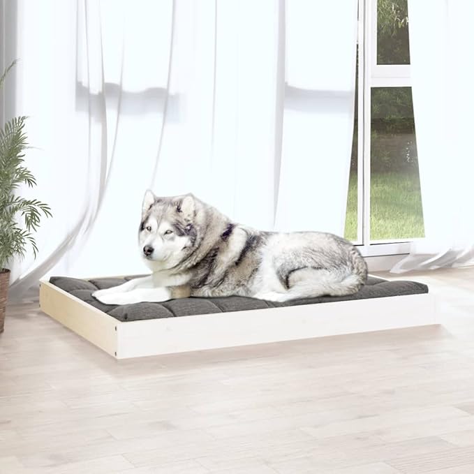 Medium Wooden Dog Bed, Elevated White Solid Pine Wood Pet Cot for Small to Medium Dogs, Modern Minimalist Indoor Pet Furniture, Sturdy Rectangular Rest Station