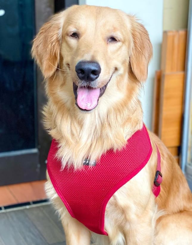 Puppia Soft Dog Harness, Wine, Small (PDCF-AC30-WN-S)