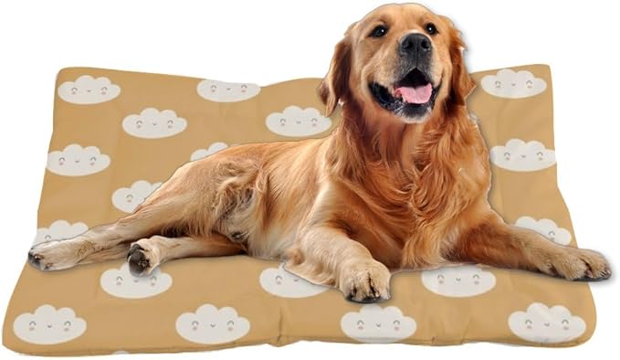 Cute Brown Clouds Dog Beds& Furniture Dog Crate Mattress Pad for Car Bed for Medium Crate Washable Non-Slip Bed Washable Small Beds Tear-Resistant Mat Doggy Indoor Outdoor 36X24 Inch