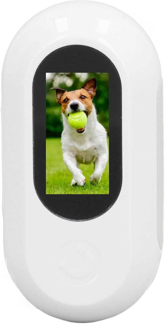 Jiawu Cat Collar Camera, HD 1080P Pet Camera Collar, 120° Wide Angle Dog Collar, Mini Sport Action Camera, Portable Camera for Cats, Dogs, Outdoor, Inoor (White)