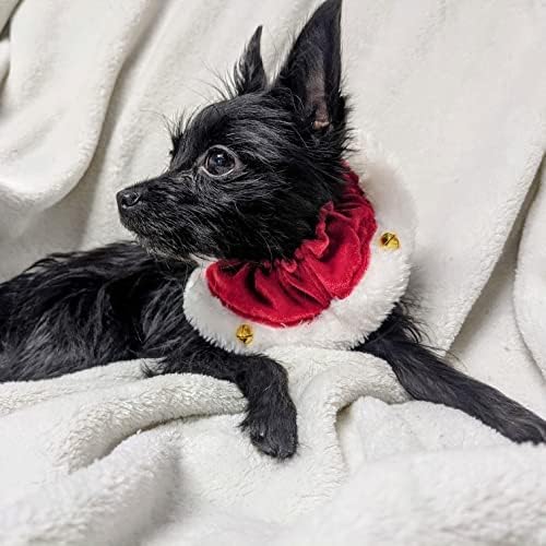 Huxley & Kent Ruff Pet Scrunchy | Santa (Extra-Large) | Festive Christmas/Holiday Neckwear for Dogs/Cats | Fun Stretchable Costume Accessory | Soft Collar with Bells