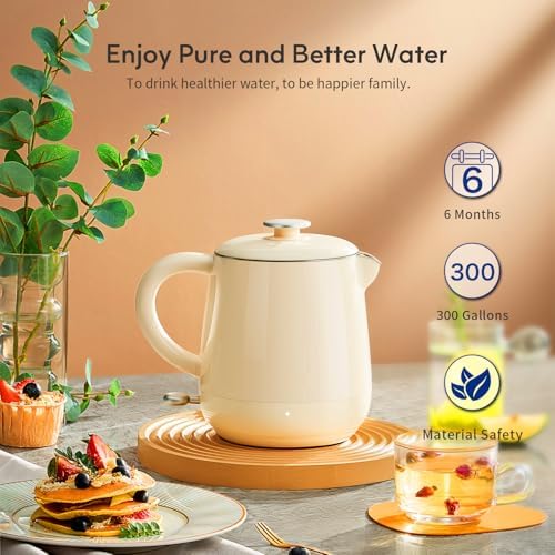 BELVITA Water Filter Replacement for EDR3RXD1